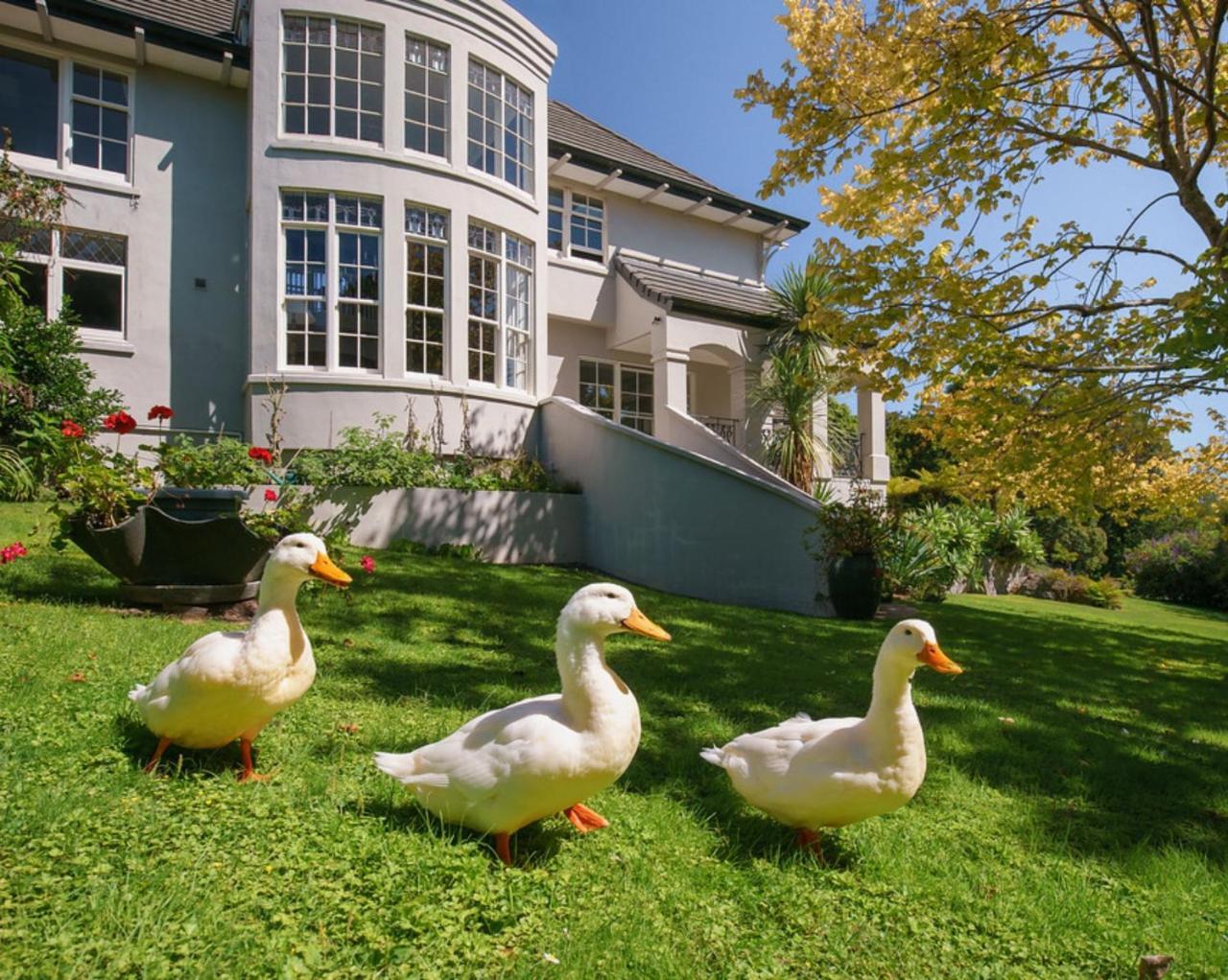 Greenmantle Estate Hotel Paraparaumu Eksteriør billede