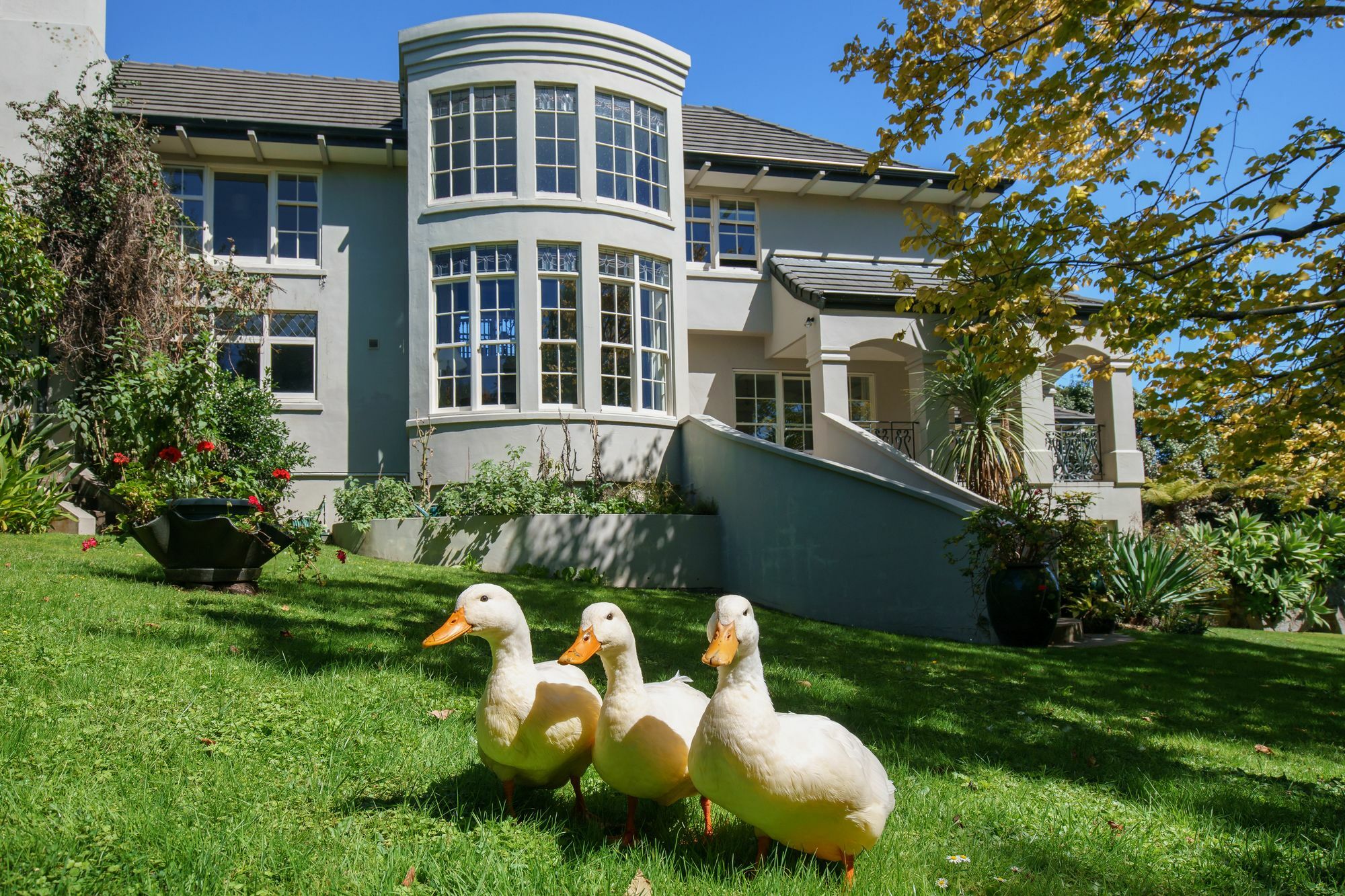 Greenmantle Estate Hotel Paraparaumu Eksteriør billede